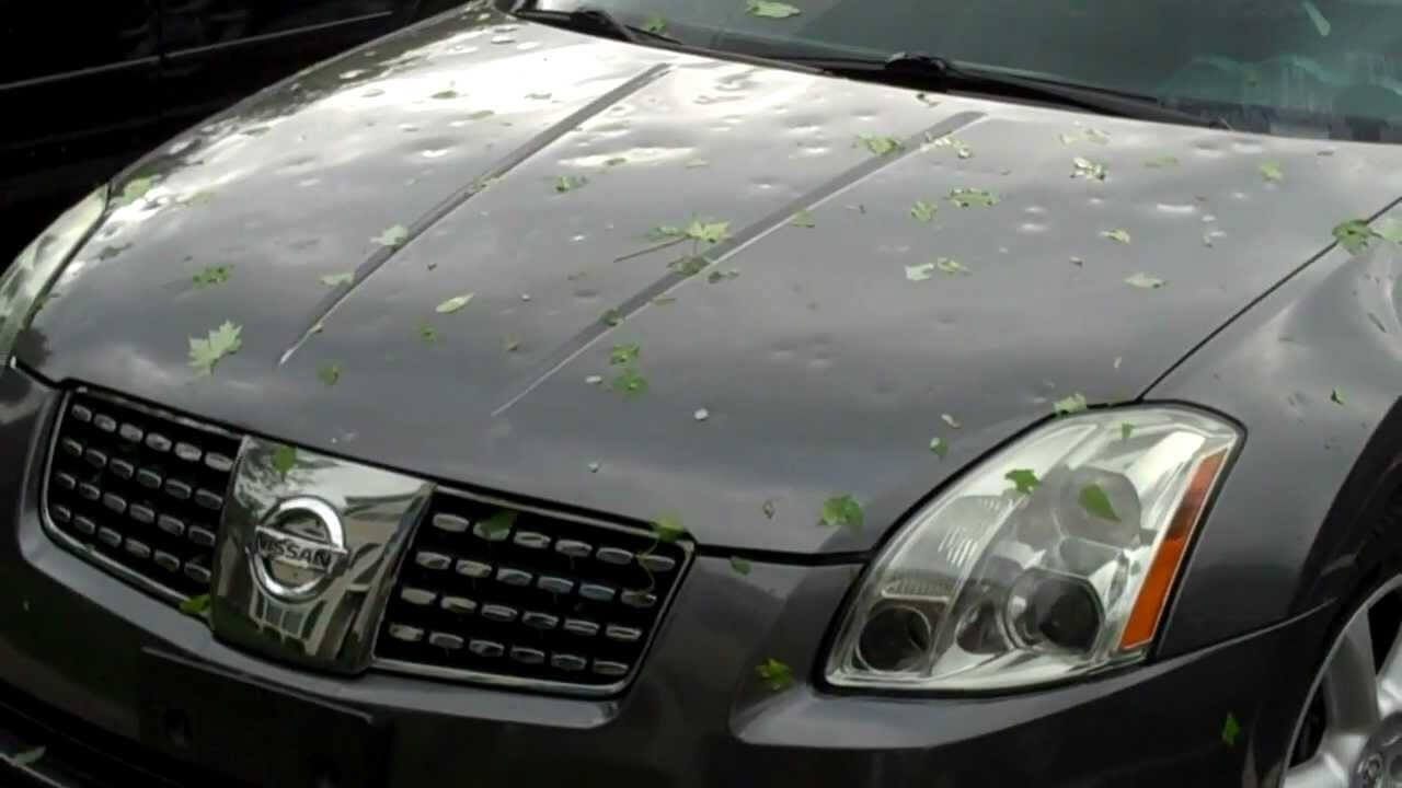 Nissan Hood Hail and Storm Damaged