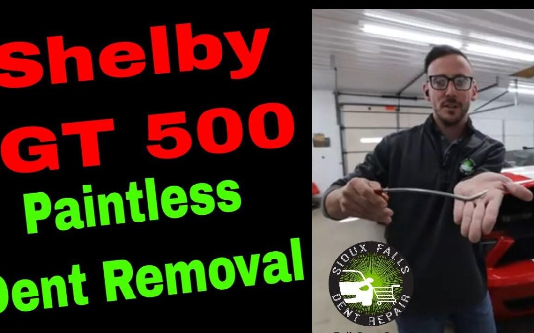 Shelby GT 500 Paintless Dent Removal- 2007 Ford Mustang